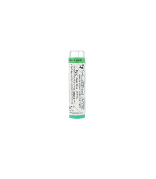 <ARMONIC ROCK ROSE 26 GRA <ARMONIC ROCK ROSE 26 GRA