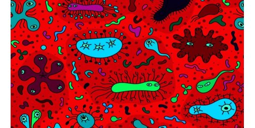 I batteri che vivono sul tuo cellulare