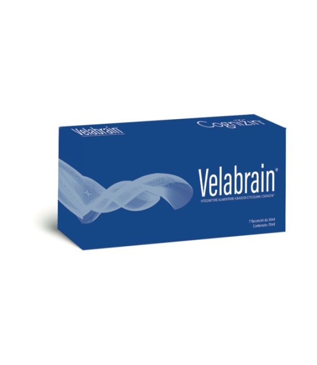 VELABRAIN 7 FLA