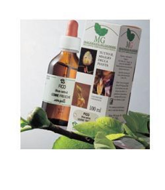 OLIVO MG 100ML SANGALLI