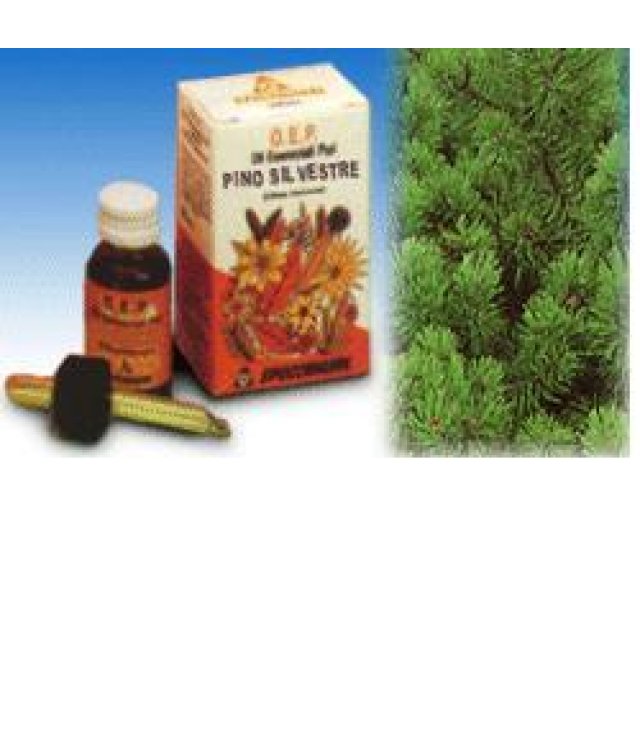 PINO SILVESTRE OLIO ESSENZIALE PURO 10 ML