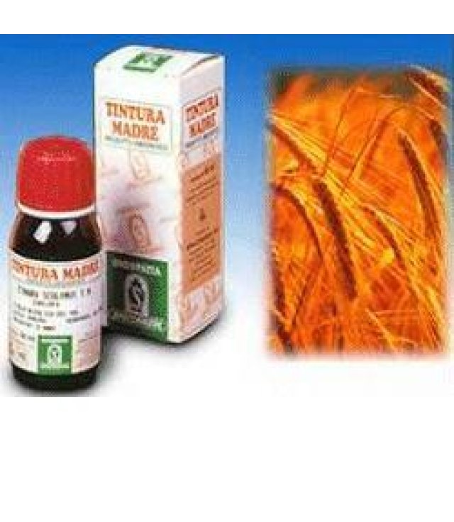 AVENA SATIVA 50ML TM  SPECCH.