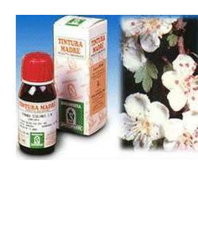 BIANCOSPINO *T.M. 50ML (10)SPE