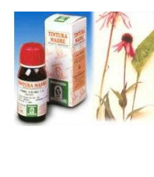 ECHINACEA 59 50ML TM