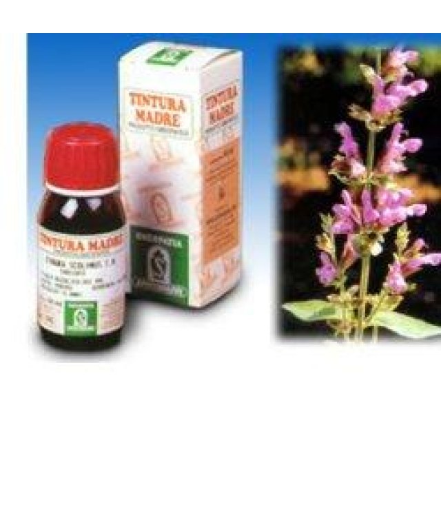 SALVIA 25 50ML TM