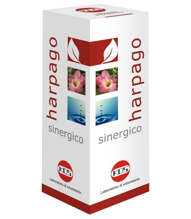 HARPAGO SINERGICO GTT 100ML KO