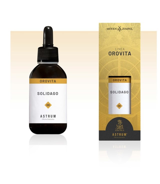 SOLIDAGO MAC. SPARG. ASTRUM SOLIDAGO MAC. SPARG. ASTRUM