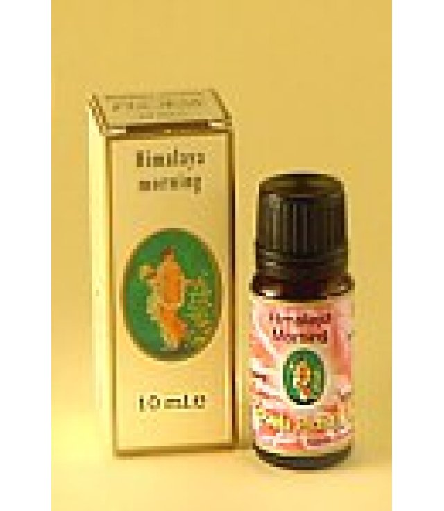 FLORA MISC PROF BALS FREDDO10M FLORA MISC PROF BALS FREDDO10M