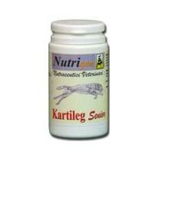 KARTILEG SENIOR                  60  TAV