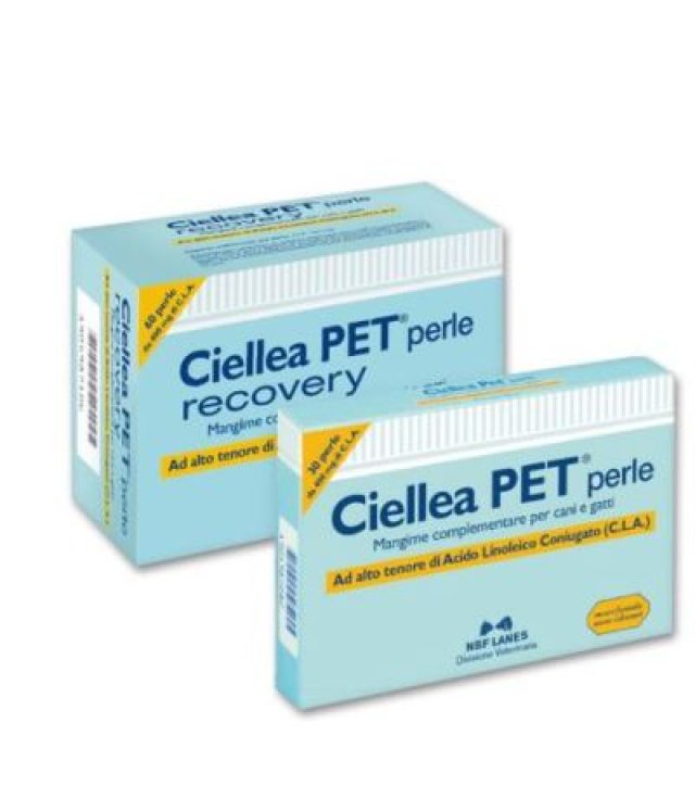 Ribes Pet Recovery 60prl