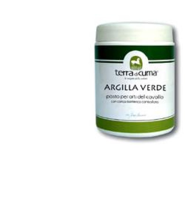 ARGILLA VERDE EQUINI PASTA 1KG ARGILLA VERDE EQUINI PASTA 1KG