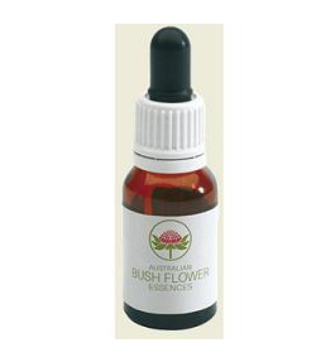 GREY SPIDER FLOWER AUSTR 15ML