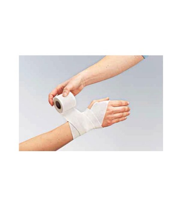BENDA FORTELAST PLUS 10X450