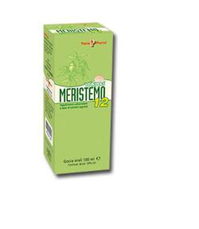 MERISTEMO INKAS 12 100ML