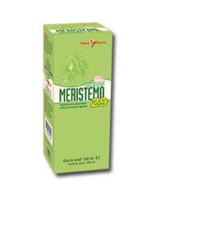 MERISTEMO INKAS 29 100ML