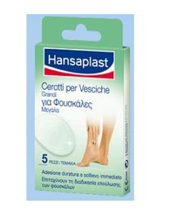 HANSAPLAST CER VESC GRANDI 5PZ