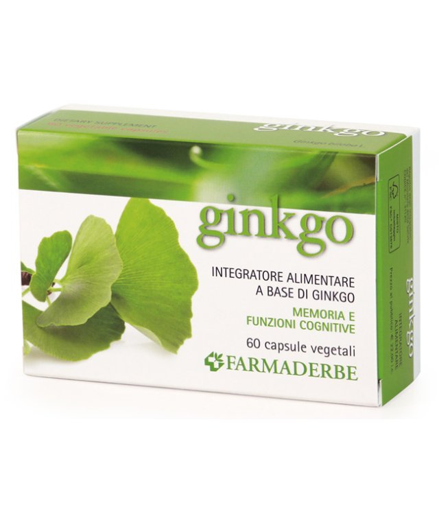 NUTRA GINKGO INTEGRAT 60CPS