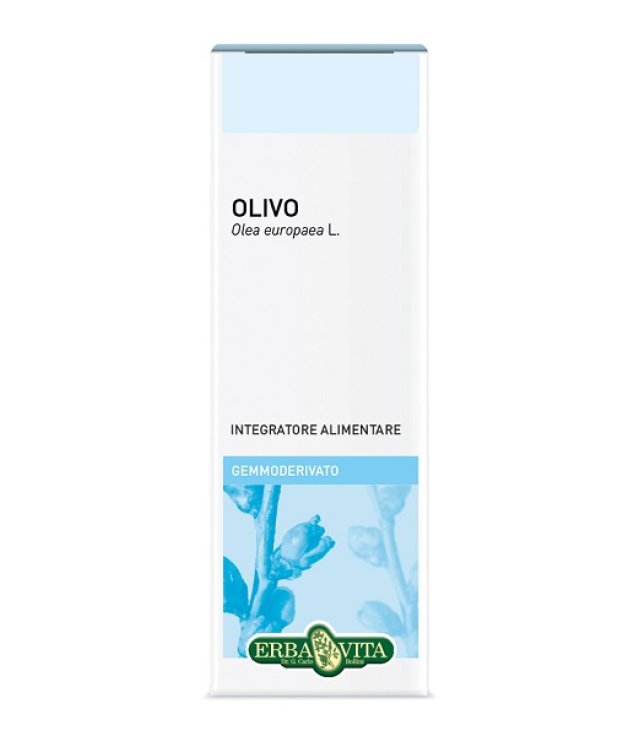 GEMMODERIVATO OLIVO 50ML GEMMODERIVATO OLIVO 50ML