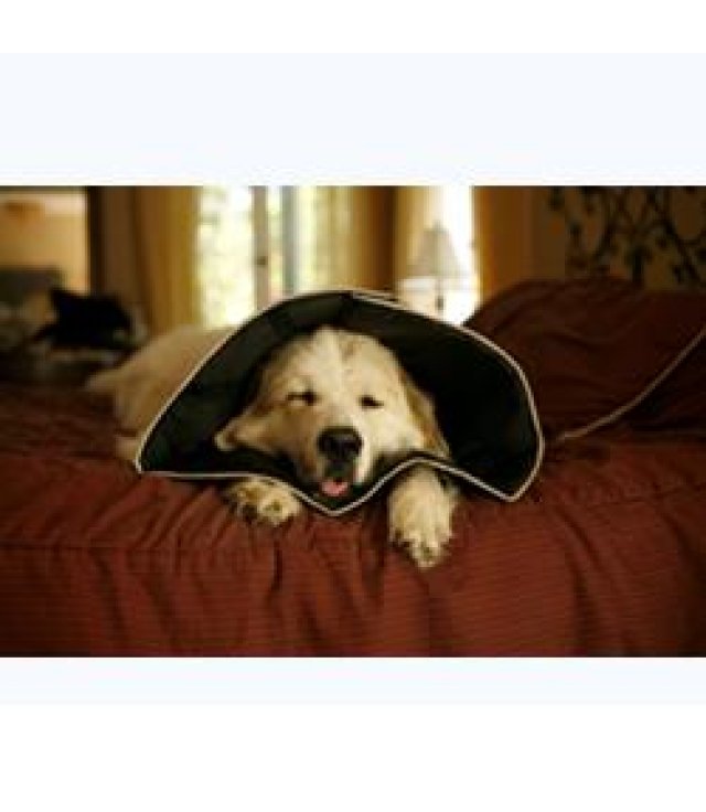 COMFY CONE MEDIUM 20 CM COMFY CONE MEDIUM 20 CM