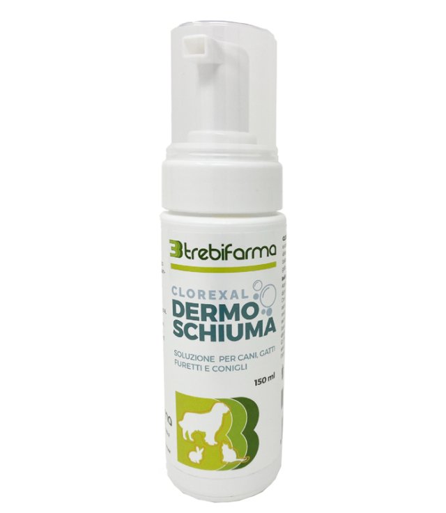 CLOREXAL DERMOSCHIUMA 150ML CLOREXAL DERMOSCHIUMA 150ML