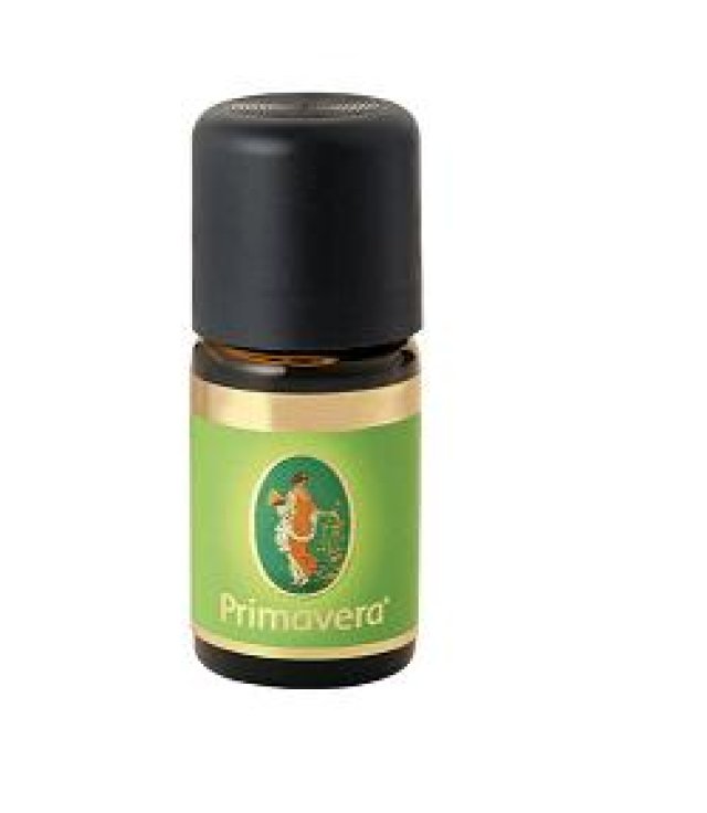 ZENZERO OLIO ESSENZIALE BIO5ML ZENZERO OLIO ESSENZIALE BIO5ML