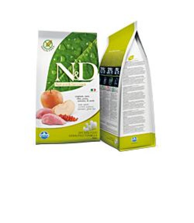 V N&D DOG CINGH MELA AD MINI 2,5 V N&D DOG CINGH MELA AD MINI 2,5