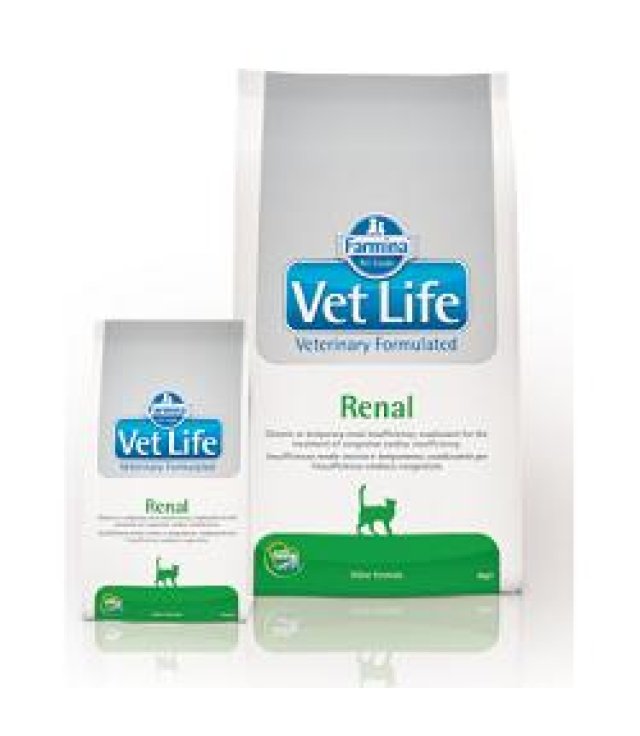 VET LIFE CAT RENAL 400 GR