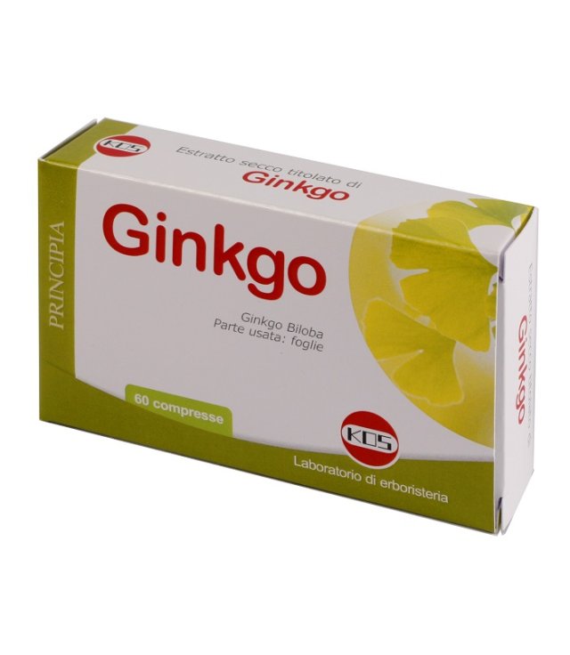 GINKGO BILOBA ESTR SEC 60CPR