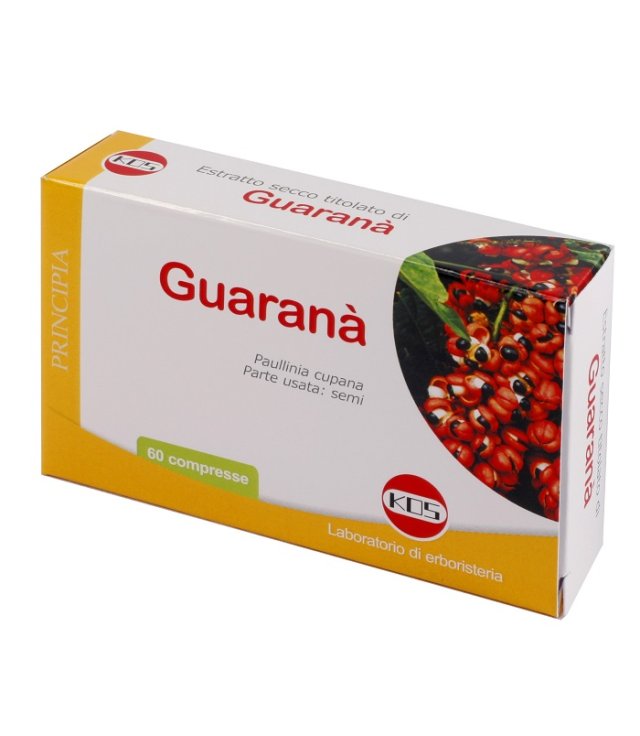 GUARANA E.S. 60CPR 300MG KOS