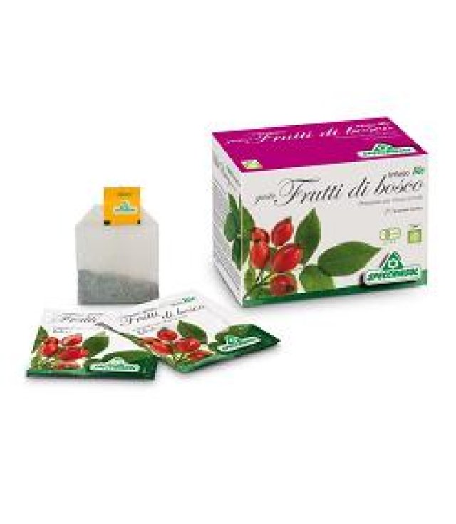 Infuso ai Frutti di Bosco BIO in Filtri