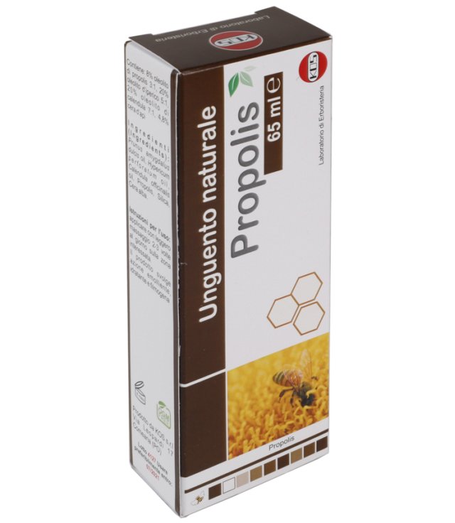 PROPOLIS UNGUENTO 65ML