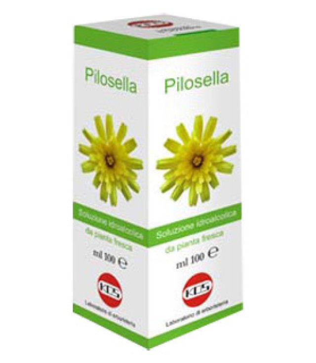 PILOSELLA SOL IAL PIANTA FR100