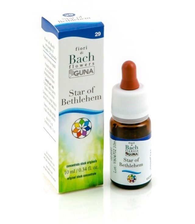 STAR OF BETH GUN GTT 10ML