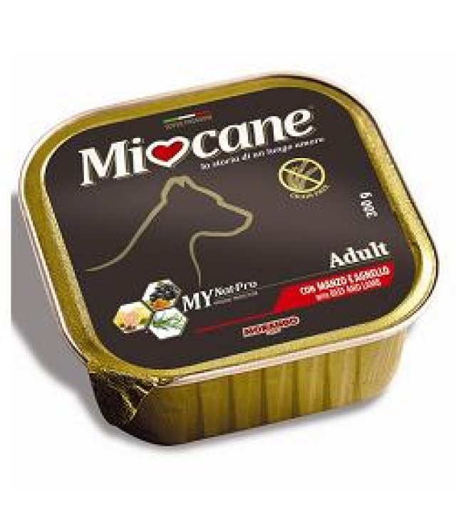 V MIOCANE 8315 AD VASC.MANZ/AGN V MIOCANE 8315 AD VASC.MANZ/AGN