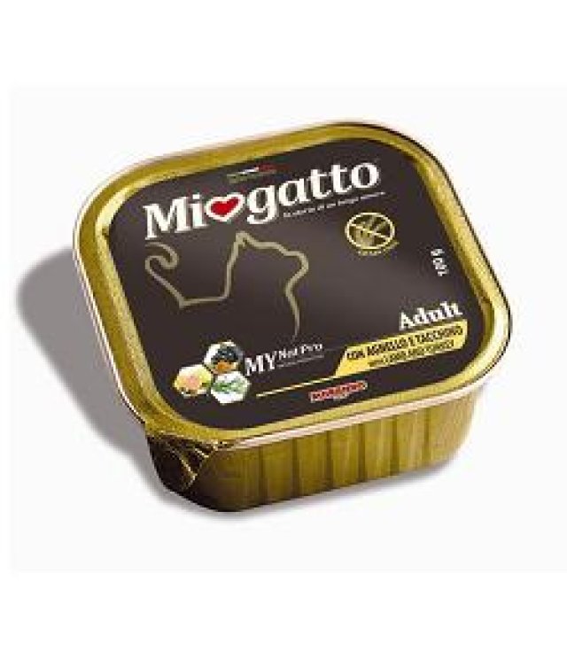 V MIOGATTO 8636 AD VASC.AGNEL/TA V MIOGATTO 8636 AD VASC.AGNEL/TA