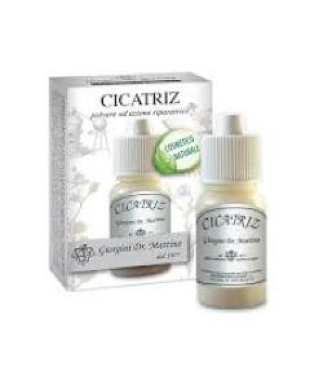 CICATRIZ POLV 10G