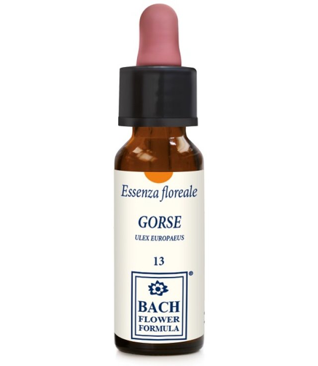 GORSE ORIGINAL 10ML GTT