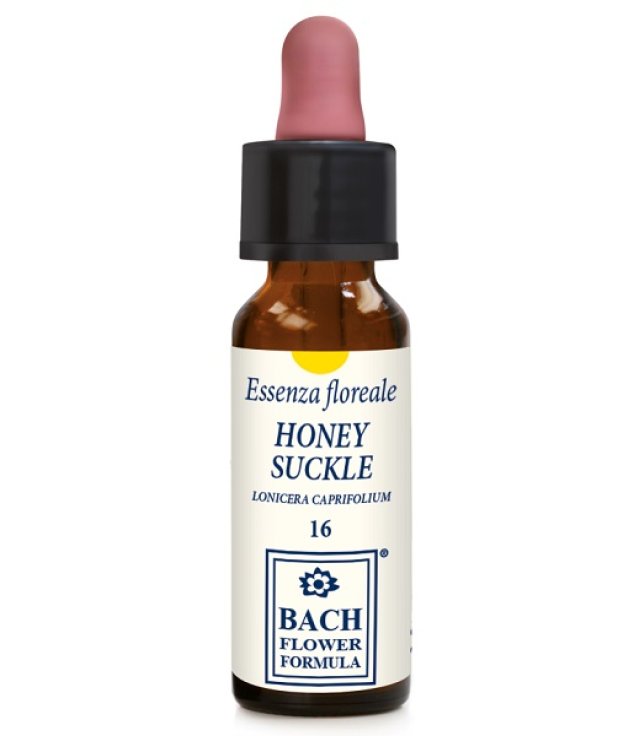 HONEYSUCKLE ORIGINAL 10ML GTT