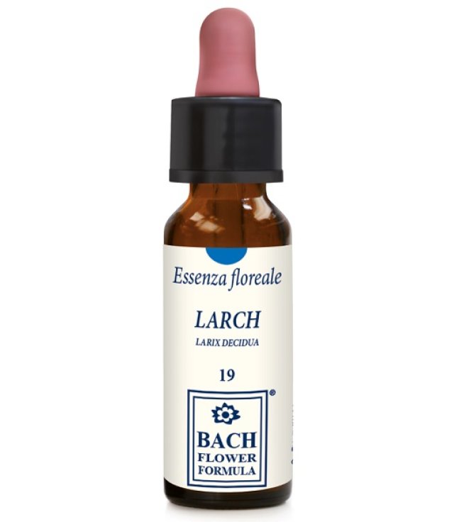 LARCH ORIGINAL 10ML GTT