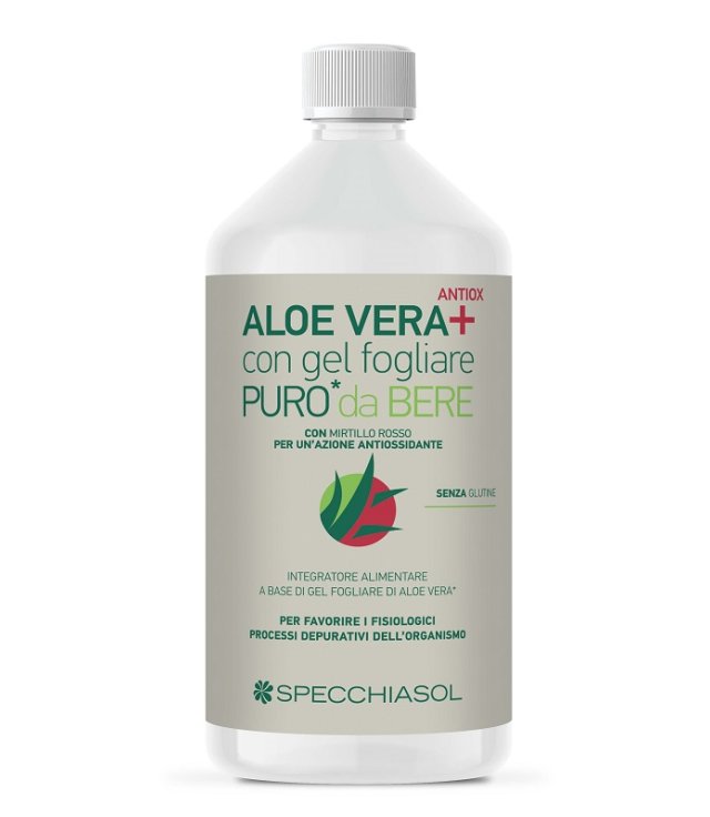 SUCCO ALOEVERA+ ALOE/MIRT R1LT