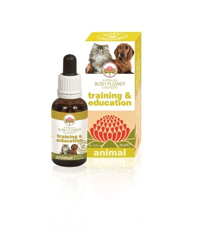 TRAINING & EDUCATION 30ML