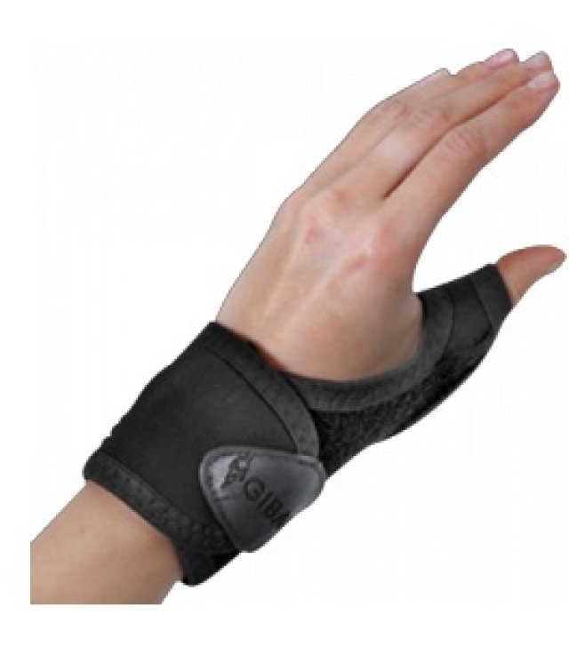 GIBAUD ORTHO RHIZOGIB DX 1