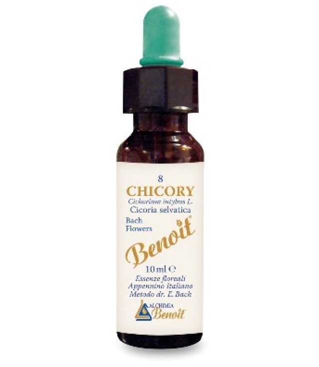 BENOIT FIORI DI BACH CHICORY