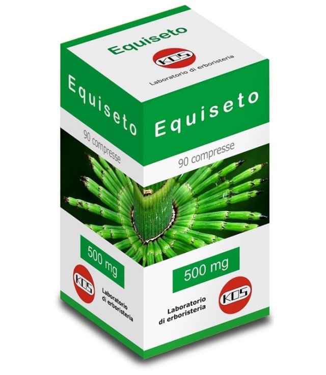 EQUISETO 90CPR 500MG