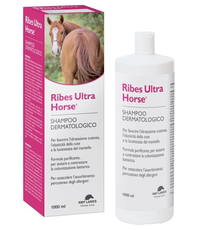 RIBES HORSE SHAMPOO BALS ULTRA RIBES HORSE SHAMPOO BALS ULTRA