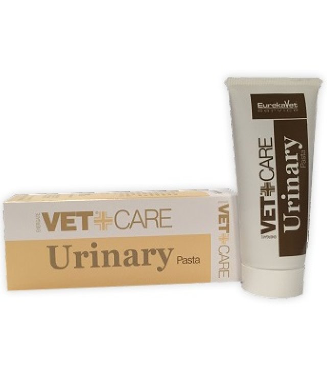 VETCARE URINARY PASTA     80GR