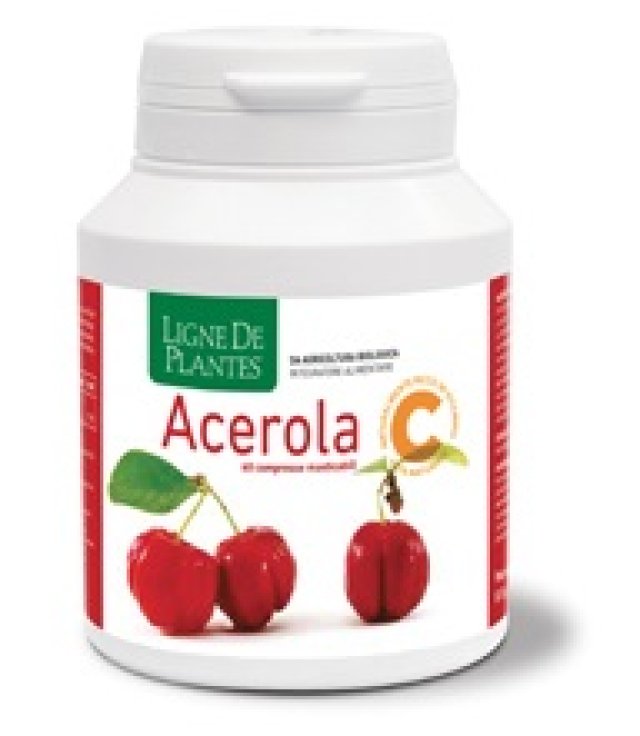 ACEROLA BIO 60CPR MASTICABILI ACEROLA BIO 60CPR MASTICABILI