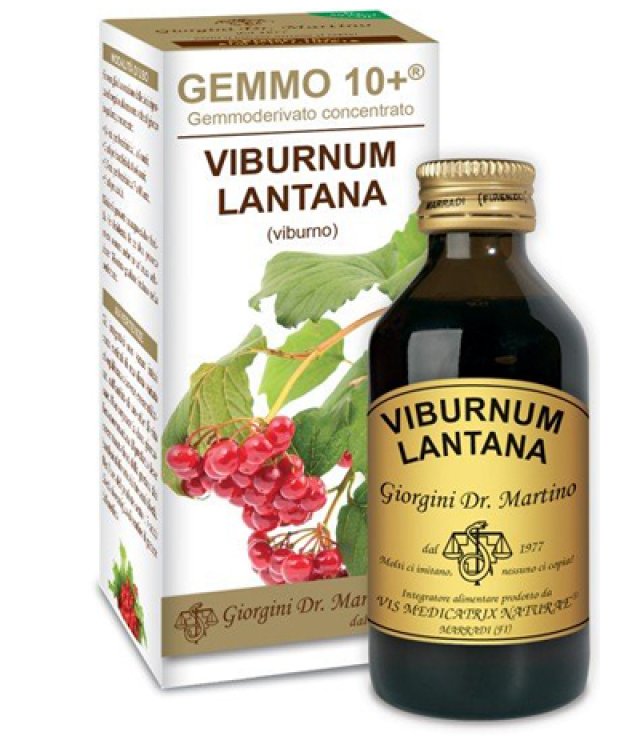 VIBURNO LIQ ANALCOLICO 100ML