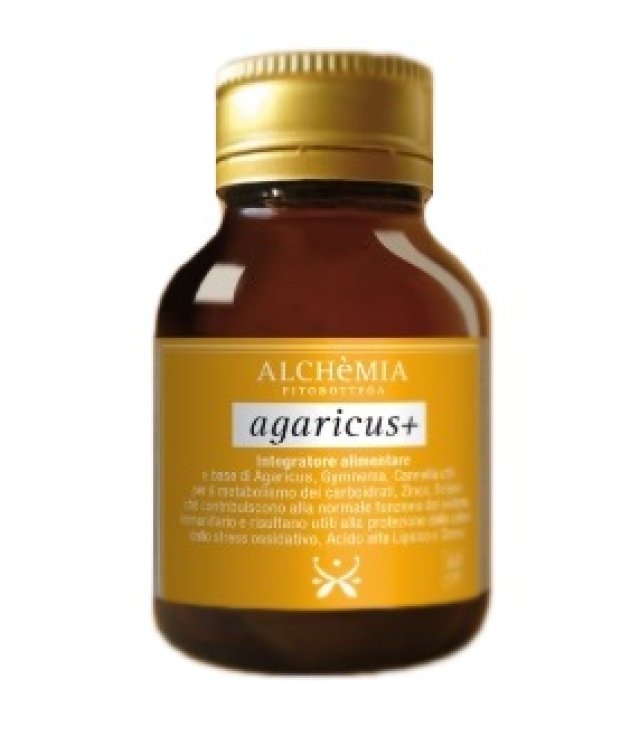 ALCHEMIA AGARICUS+         60CPR
