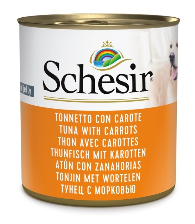 V SCHESIR DOG TONNETTO CAROTE